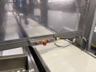 2019 Xilix Systems Waterjet Cake Cutter With Robotic Packaging